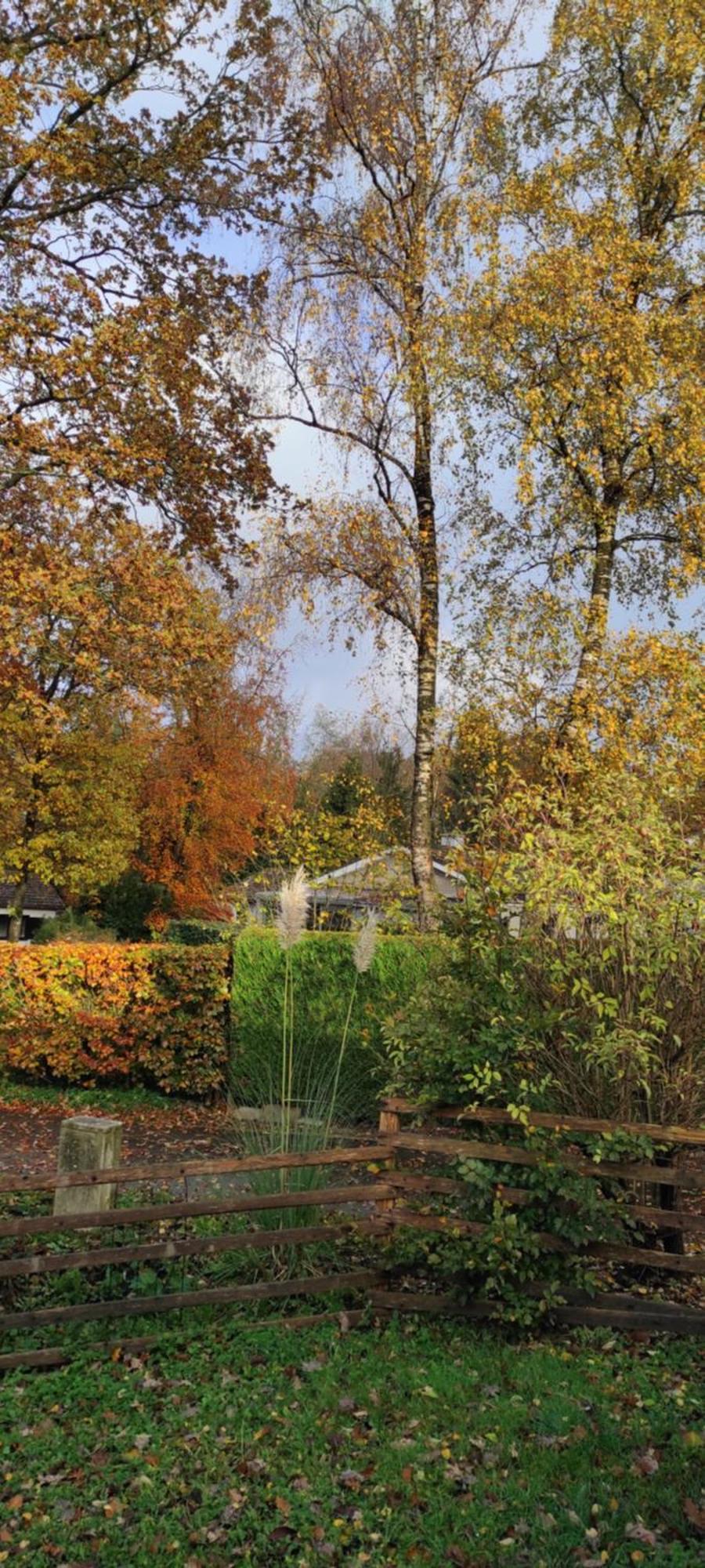 Au "Cottage Paisible" Rendeux Dış mekan fotoğraf
